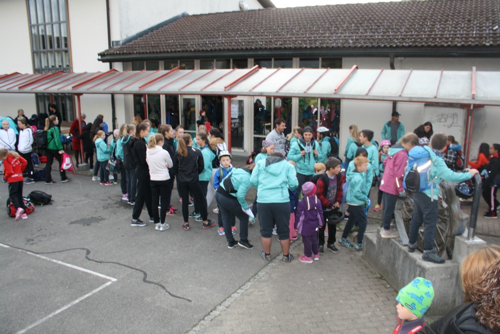 Bild 1 (15)